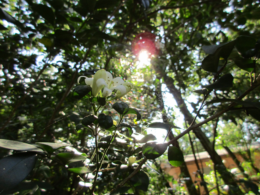 Describe one simple thing you do that brings joy to your life.