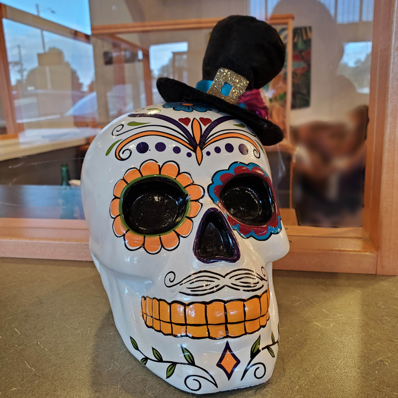 Skull photo by Juli D. Revezzo